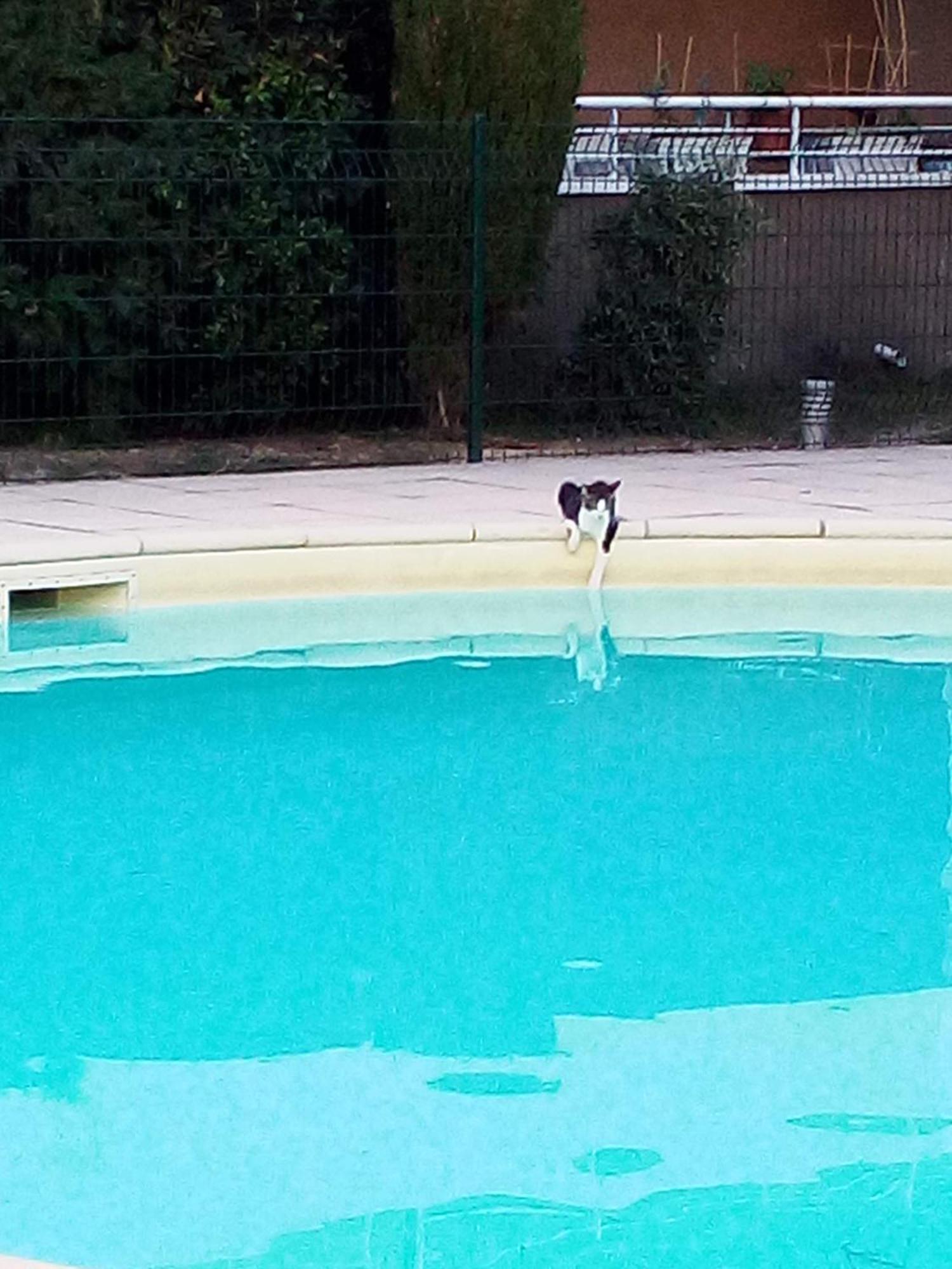 Appartement Carcaluxe Καρκασόν Εξωτερικό φωτογραφία