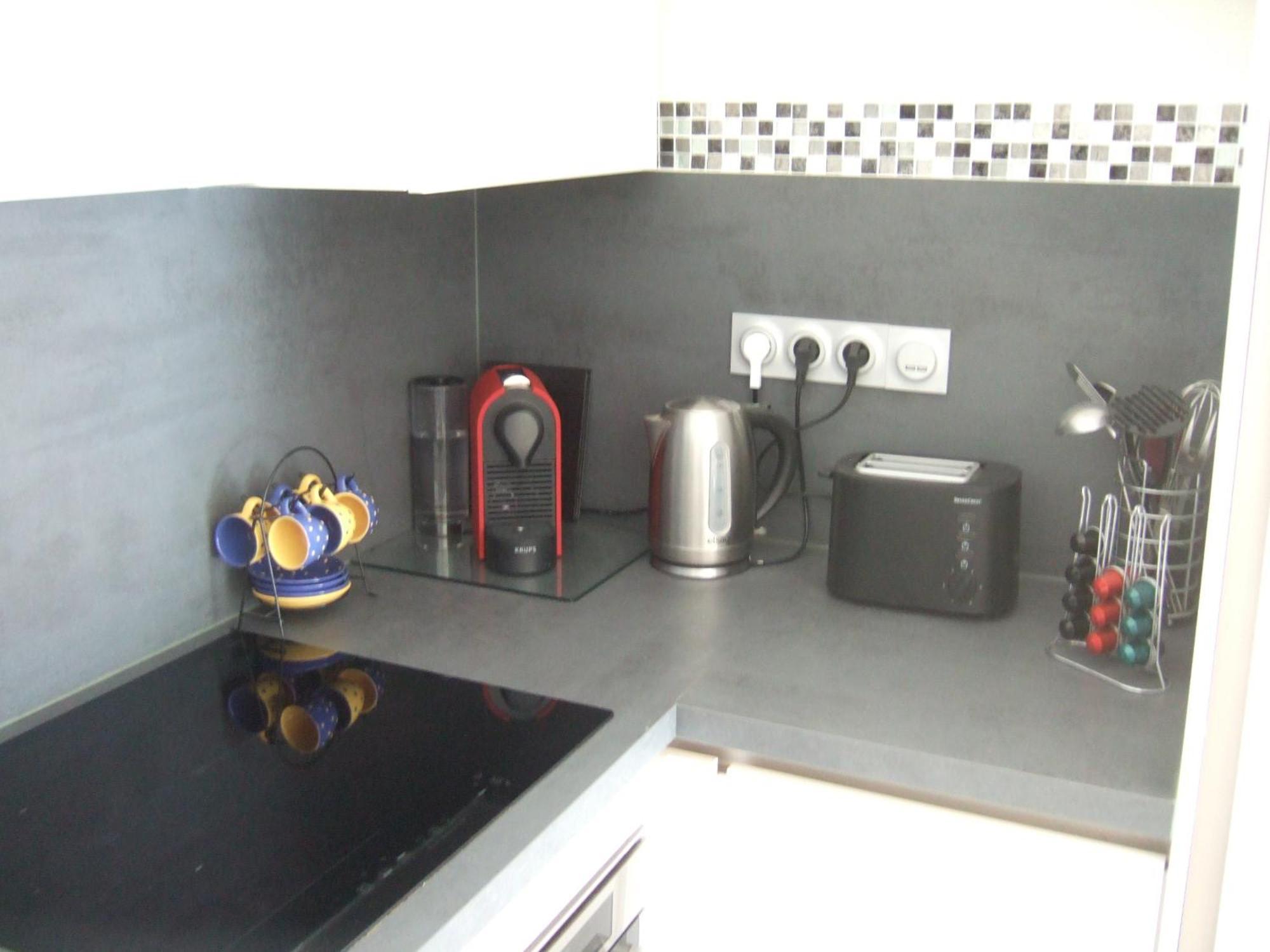 Appartement Carcaluxe Καρκασόν Εξωτερικό φωτογραφία